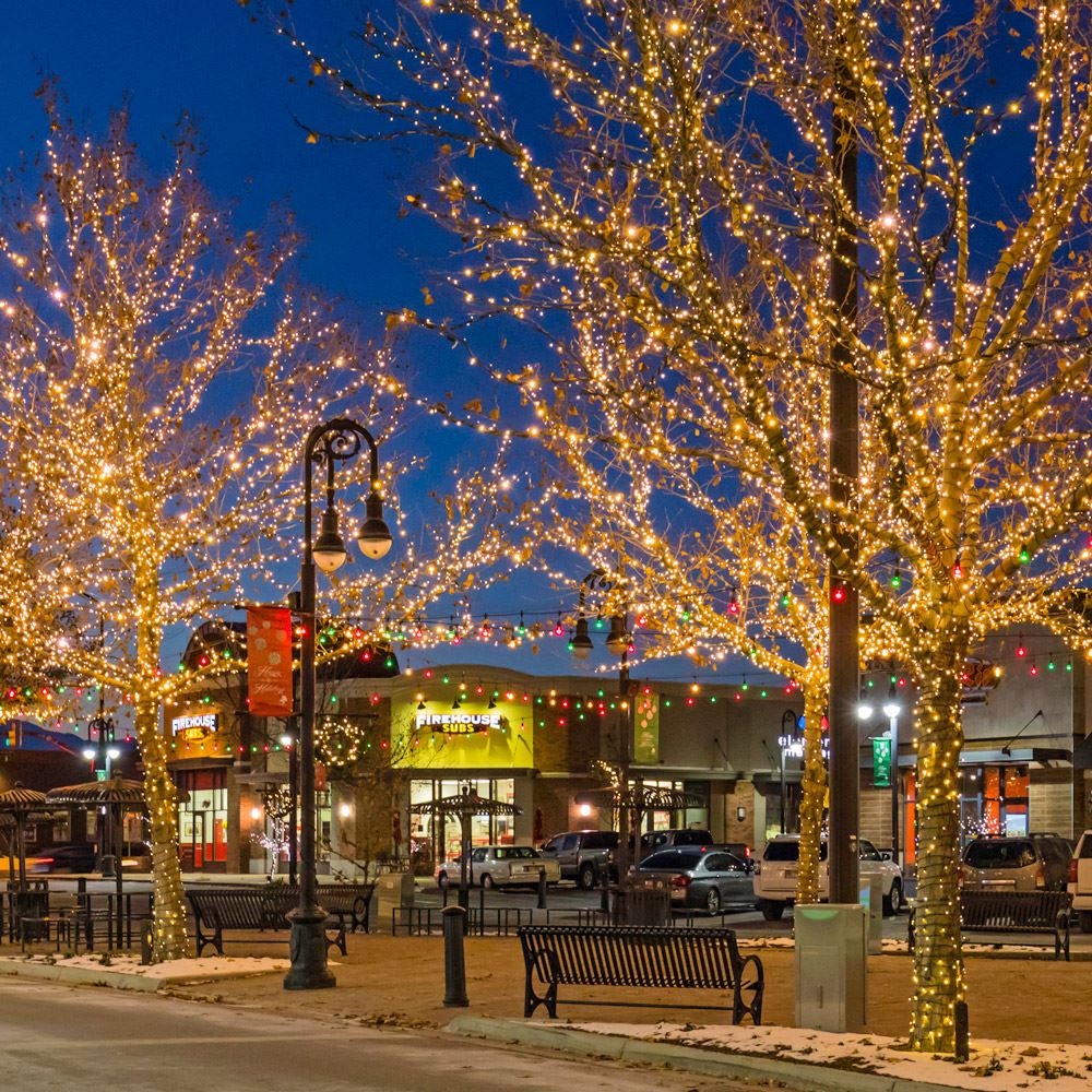 towne center drive with trees decorated with holiday lights and businesses in the background